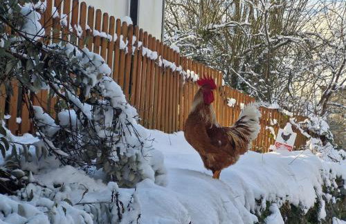 Y Bwthyn at The Old Water Mill on the very edge of Snowdonia - Foto 28