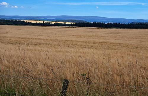 Little Slioch Cottage- A Break From City Life - Foto 13
