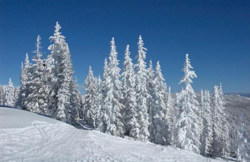 Mountainside Cozy Walk to Gondola Hot Tub Condo - Foto 40