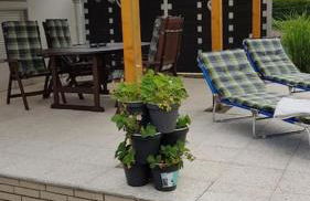 Ferienhaus To Huus - Foto 13