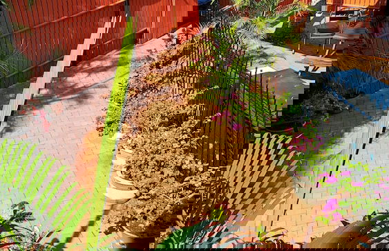 Coconut Grove Holiday Apartments - Foto 34