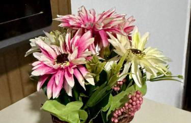 APT-2S Grande para 4 pessoas com Garagem a 1 min da rodoviária de Petrolina - Foto 37