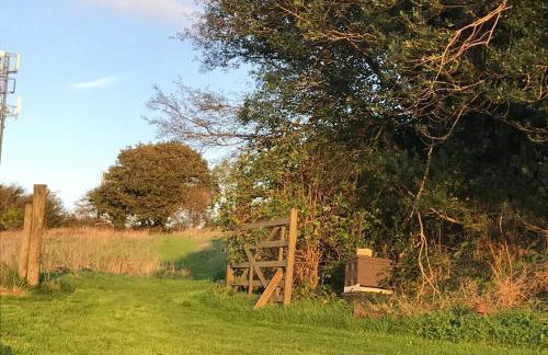 Stags View,Unique eco cabin, Dartmoor views - Foto 29