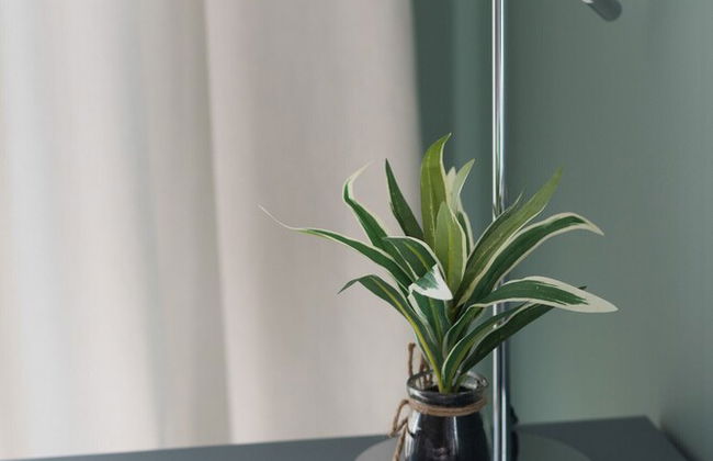 Apartment Łopuszańska Warsaw by Renters - Foto 5