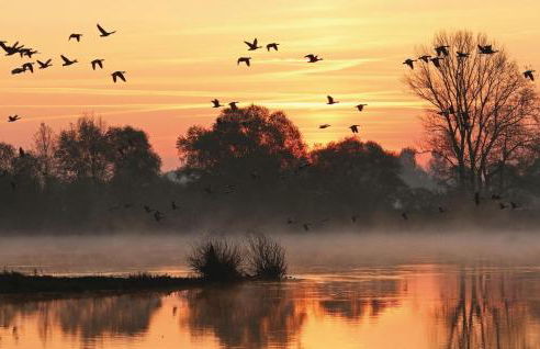 Ferienhaus Villa Elbstrom - Foto 38