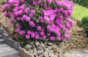 Emmerich s neu errichtete DG-Wohnung - Foto 15