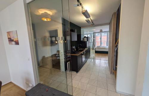 Munich Large Apartment 145 qm and 5 Bedrooms with Roof Terrace in centrally located 1 to 14 Guests - Foto 6