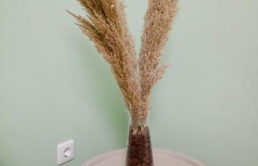 Sunny Living - Foto 16