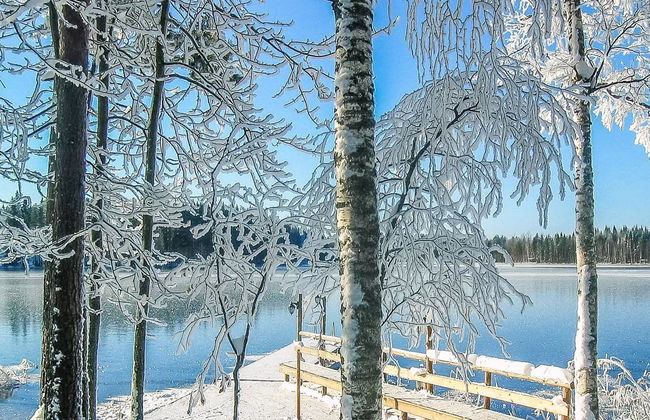 Kaidan kunkku - Photo 30