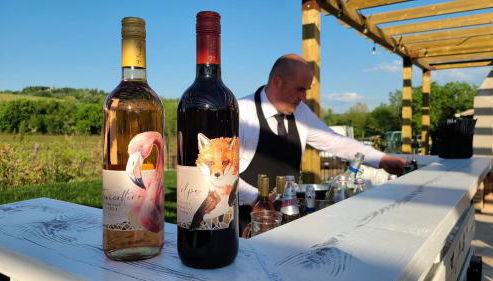 La Torre sulla via Francigena - Foto 5