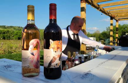 La Torre sulla via Francigena - Foto 5