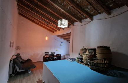 La Replaceta - Foto 16