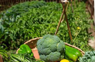 Casara Seis o Casara Siete - Tu casa a 100m de la playa de Zahora - Foto 39