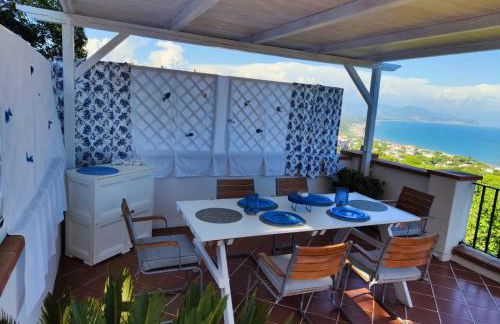 Pino Marino - Foto 40