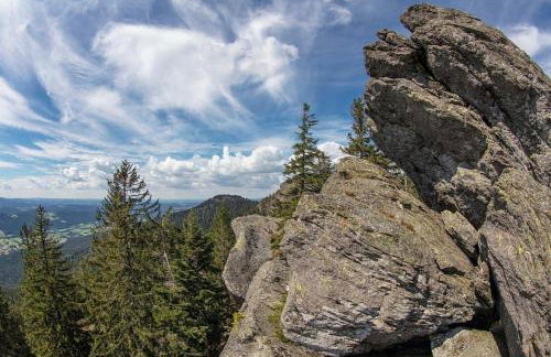 Ferienhaus Nr 7, Typ B, Feriendorf Jägerpark, Bayerischer Wald - Foto 32