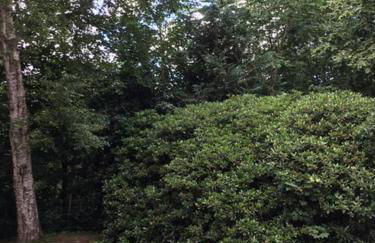 Ferienwohnung Tante Lise - Foto 23