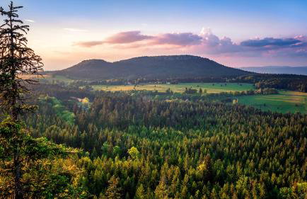 Apartamenty Cud Miód 2 - Foto 19