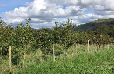 The Cosy Pad Glan Y Morfa Bach - Foto 17