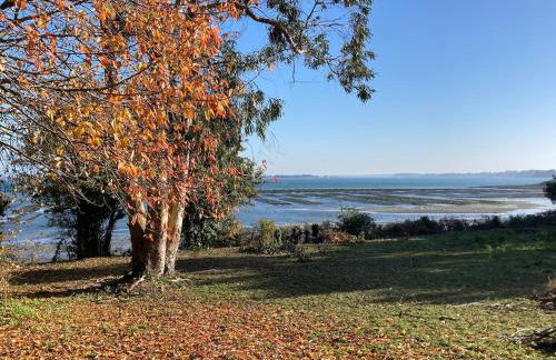 Site exceptionnel accès mer grands espaces - Foto 38