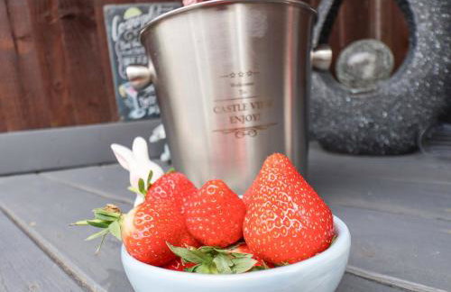 Castle View - Foto 63