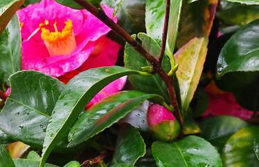 Casa do Alto (top floor apartment) - Foto 61