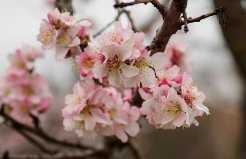 SPEYERBACH - modernes Apartment nahe Neustadter Innenstadt - Foto 30