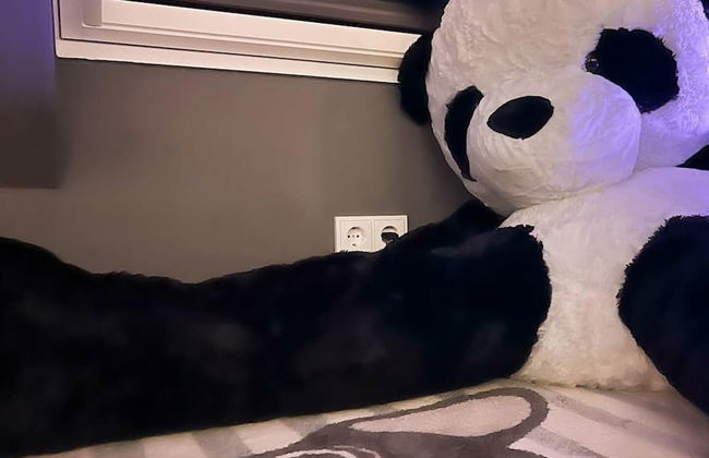 Dragons Nest: Cozy & Modern Attic Loft Nuremberg - Foto 66