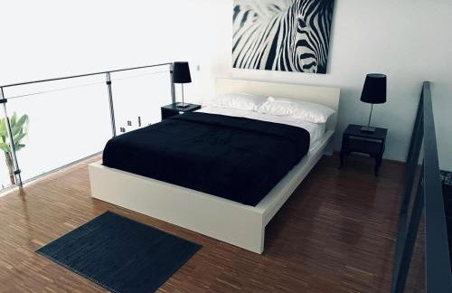 Loft Confort - Foto 13