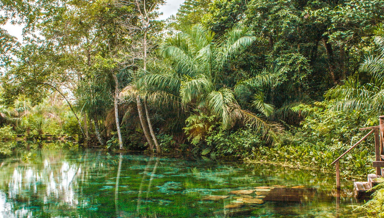 Snorkelling in the Sucuri River - Foto 1