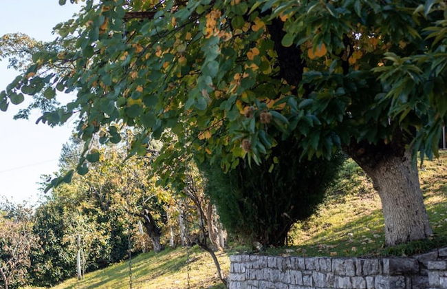 All Seasons Guest House - Foto 27