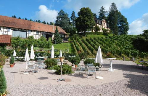Wein Lodge Durbach - Schlossblick - Foto 6