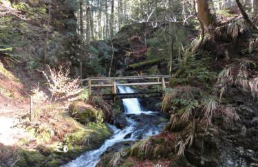 Apartement 12 in Kupferkanne - Foto 24