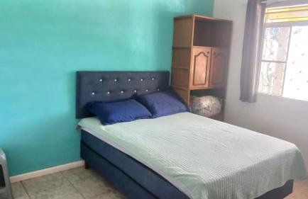 Flor da Primavera - Foto 18