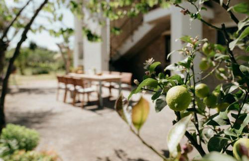 ZEM casolare - Foto 16