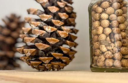 Loft ideal para parejas en Enveitg - Foto 16