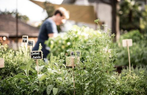 Weingut Schmid Oberrautner Apartment Suites - Foto 35