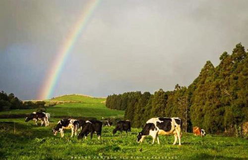Casa Amarela de Santana - Photo 25