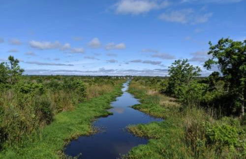 Chic Dog-Friendly 4BR | OWA + Beach + Fenced Yard - Foto 55