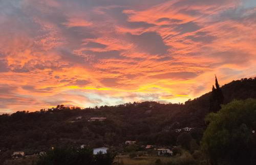 Un brin de paille - Foto 9