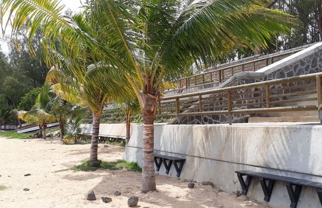 Allamanda Studios and Apartments - Photo 33