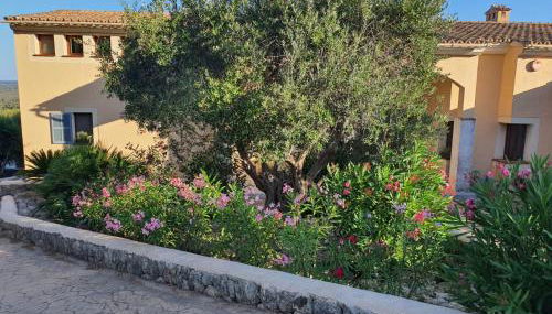 The House - Foto 5, Garden