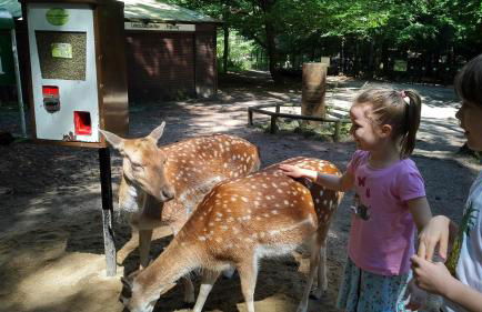 NR- Fewo mit Ladestation für E-Autos - Foto 33