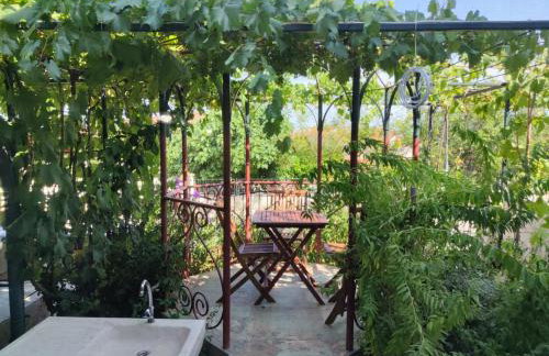 SUMMER TIME - Photo 21