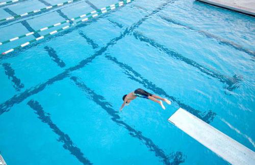 Paradise Gem - Foto 50