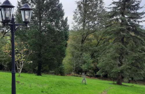 Chez Rambaud - Foto 22