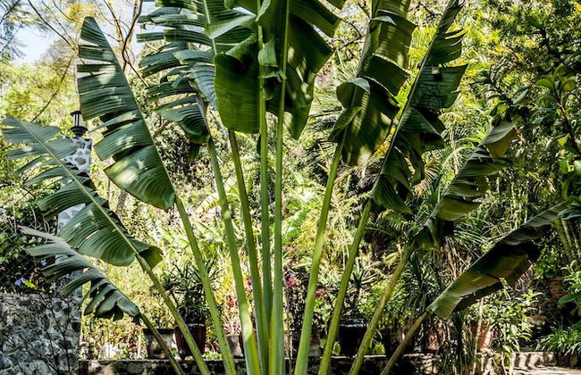 Casa Eggedal - Foto 9