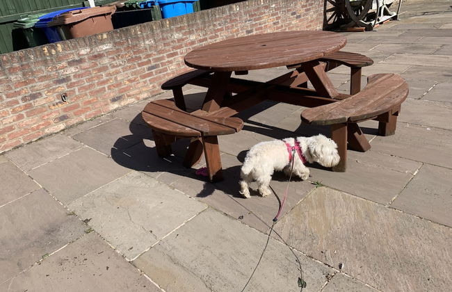 One Bedroom Barn With Free Parking - Photo 17