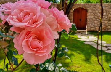 Ciborovi Dvori - Foto 9