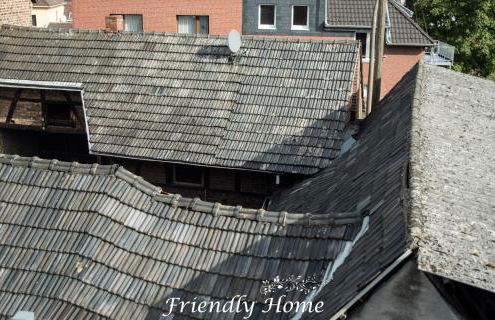 Friendly Home - "Helles Dachstudio" Köln Bonn Phantasialand - Foto 32