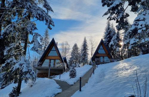 Gorska bajka - Tisa, planinska kuća za odmor i wellness - Foto 31